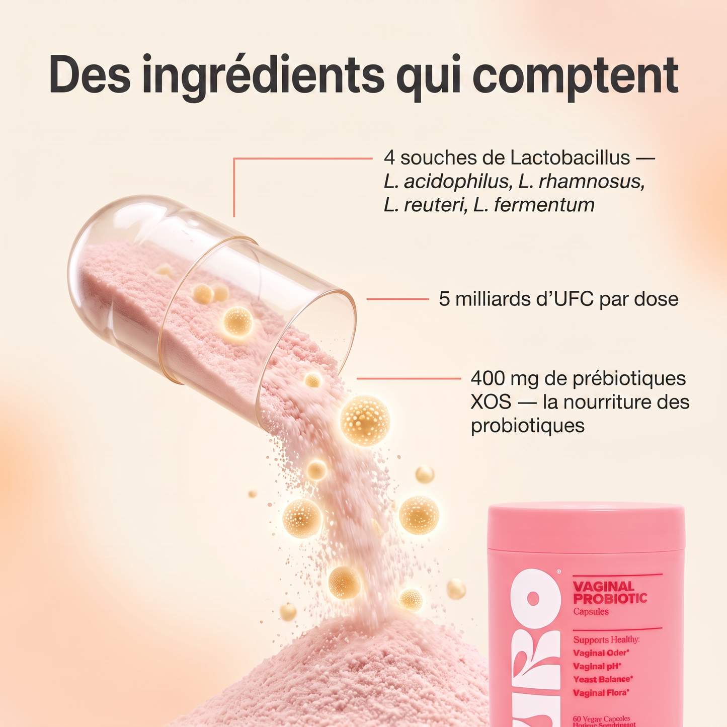 URO Probiotique Intime pour Femme – 4 Souches de Lactobacillus, 60 Gélules